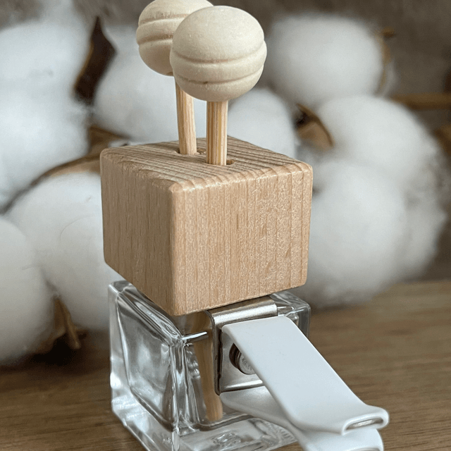 Diffuseur pour voiture 
